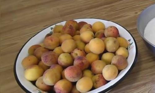 Варенье из абрикосов без косточек на зиму с коньяком — королевский рецепт