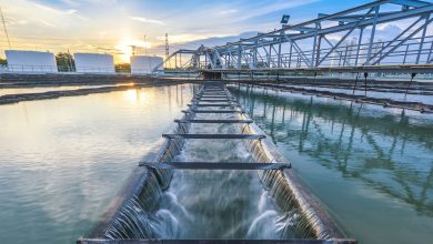 Photo of Безопасное поведение на водоеме